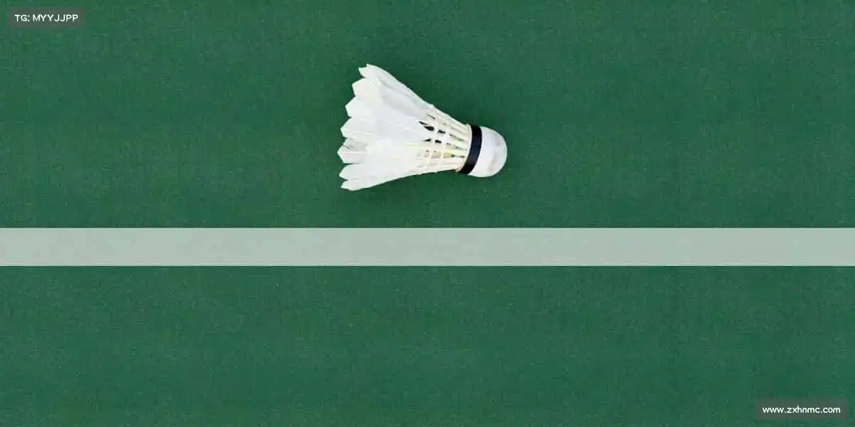 我们的品牌价值